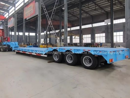 Wosheng 3 Axles 12 Wheels Low Bed Container Chassis Semi-Trailer 12500x2500x1100mm