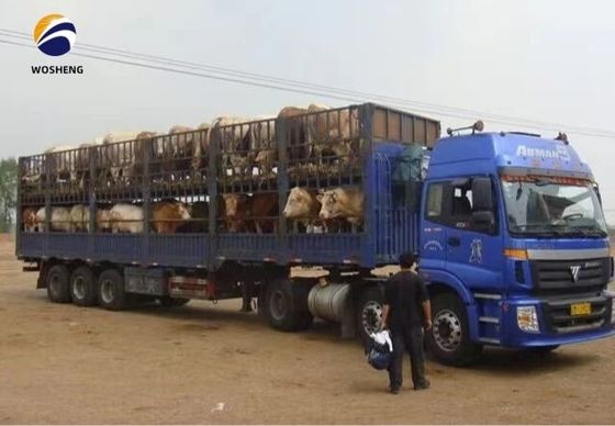 3 Axles 20-60tons High Fence Semi Trailer with SAF Two Speed 28t Heavy Duty Landing Gear
